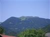 Bilde 7