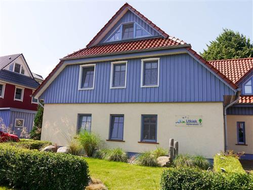 Feriehus / leilighet - 5 personer -  - Mühlenstraße - 18374 - Zingst / Ostseebad Zingst