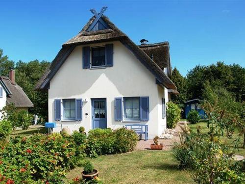 Ferienhaus - 4 Personen -  - Sonnenweg - 23999 - Schwarzer Busch