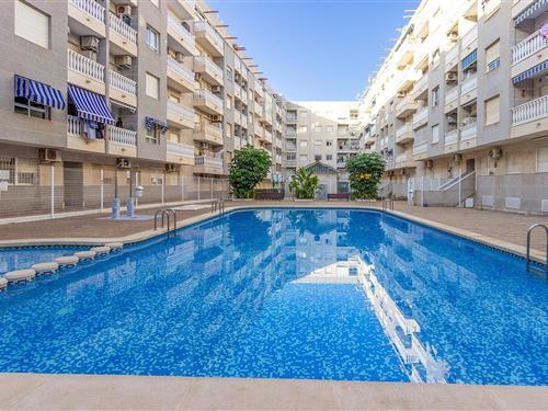 Ferielejlighed - 4 personer -  - C/ Radio Murcia - 03182 - Torrevieja