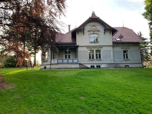 Fritidshus - 15 personer -  - 40777 - Šluknov