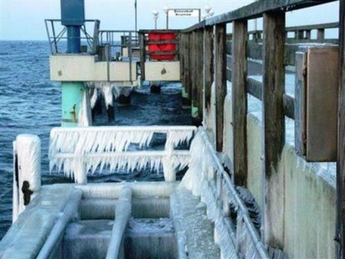 Feriehus - 5 personer -  - TV, EBK, WM, unverbaute, ruhige, sonnige Lage ANSEHEN! - 17459 - Koserow