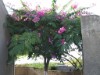 Image 39 - Outside