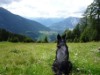 Bild 20