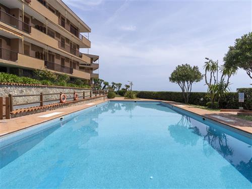 Ferieleilighet - 4 personer -  - Santo Stefano Al Mare - 18010