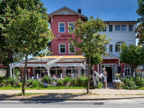 Ferielejlighed - 4 personer -  - Dorfstraße - 18347 - Ostseebad Ahrenshoop