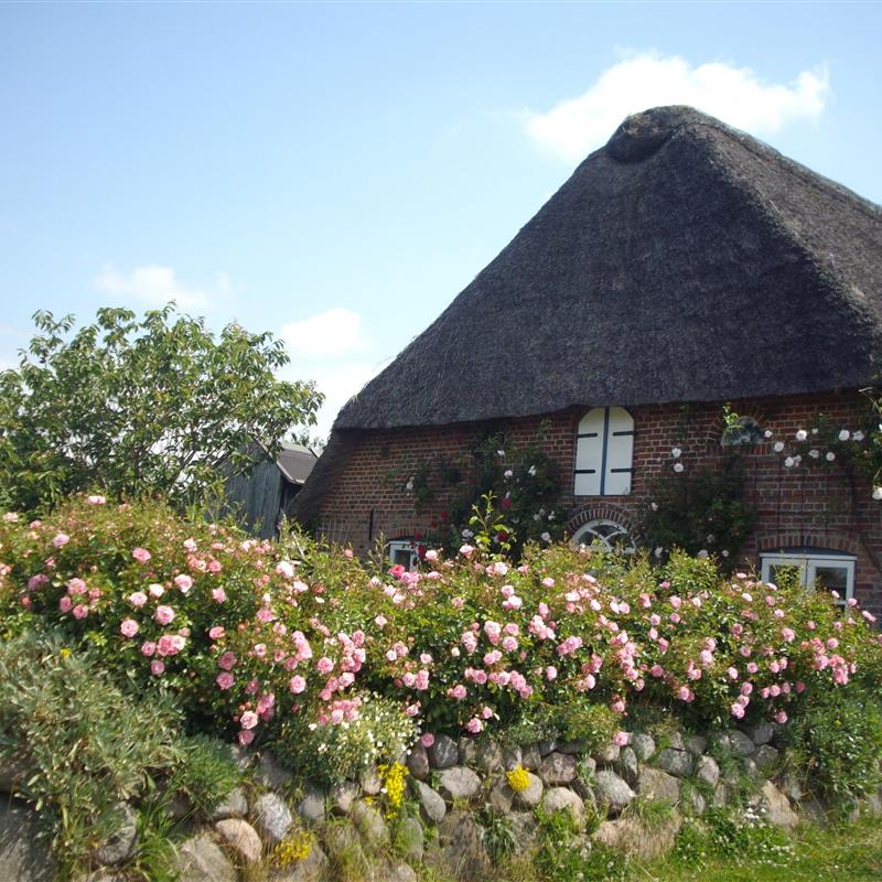 Ferielejlighed - 5 personer -  - Gotteskoogdeich - 25924 - Emmelsbüll-Horsbüll