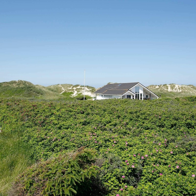Ferienhaus - 8 Personen -  - Egemosevej - Blokhus - 9492 - Jammer Bay