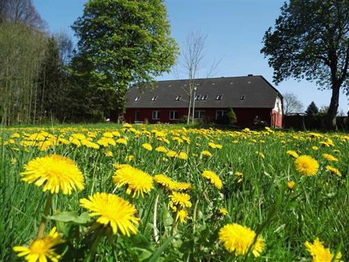 Semesterhus/Semesterlägenhet - 6 personer -  - Am Tribohmer Bach - 18320 - Ahrenshagen-Daskow