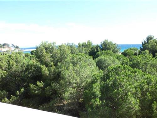 Ferienhaus - 3 Personen -  - 83500 - La Seyne Sur Mer