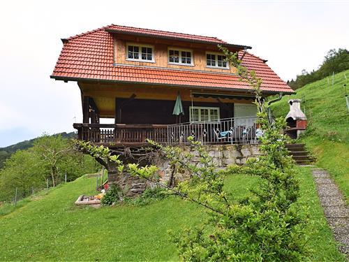 Sommerhus - 5 personer -  - 77796 - Mühlenbach