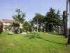 Image 13