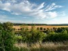 Image 37