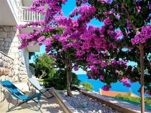 Ferienwohnung - 6 Personen -  - Korcula/Korcula - 20271