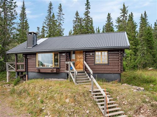 Holiday Home/Apartment - 6 persons -  - Sälen - 78067