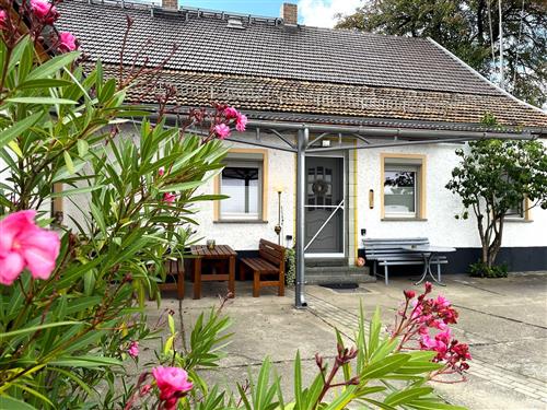  - 3 personer -  - Wiednitzer Straße - 02991 - Lauta - Leippe