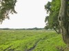 Bild 21 - Ude