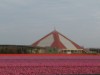 Image 16