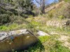 Billede 22