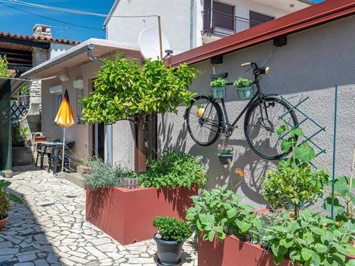 Holiday apartment - 2 persons -  - Vinogradska - 52100 - Pula