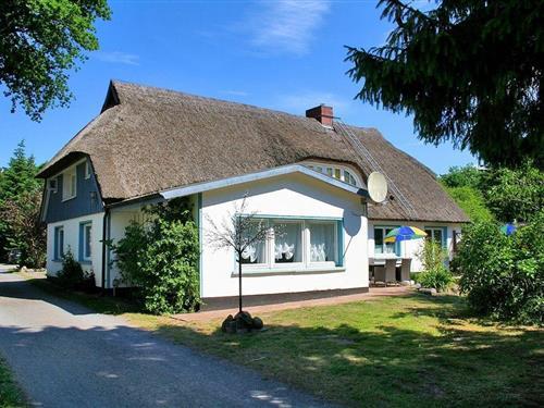 Rum - 2 personer -  - Waldstraße - 18375 - Prerow