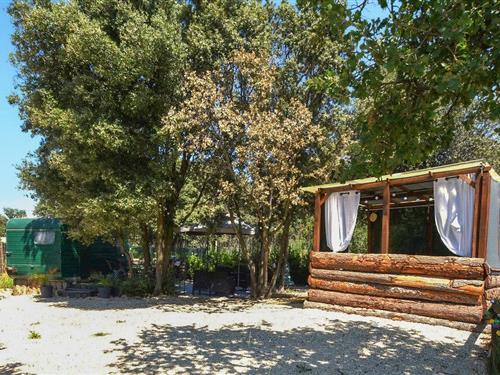 Mobilheim - 2 Personen -  - chemin de camarette - 84210 - Pernes-Les-Fontaines