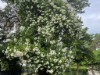 Bild 16