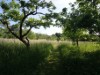 Bild 22