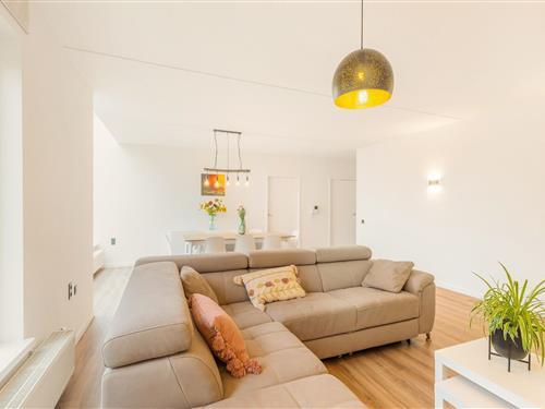 Ferienhaus - 8 Personen -  - 3530 - Houthalen-Helchteren