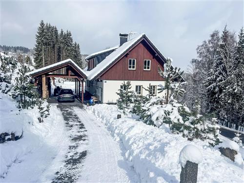 Sommerhus - 12 personer -  - Zadov - 384 73