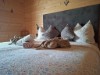 Bild 51