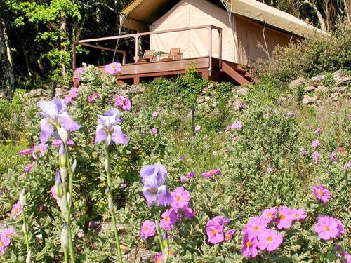 Sommerhus - 4 personer -  - Lieu Dit Haut Toupian, Chez Po - 30630 - Goudargues