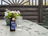 Billede 20 - Terrasse