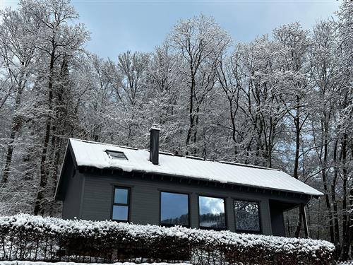 Holiday home - 6 persons -  - Waldweg - 37431 - Bad Lauterberg