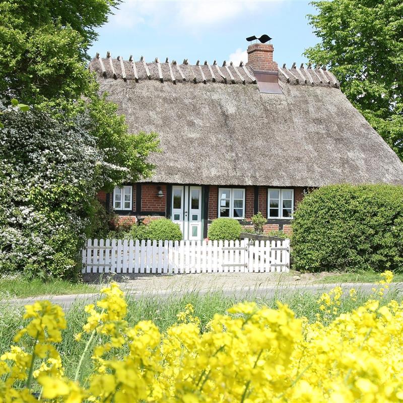 Sommerhus - 5 personer -  - Griesgaard - 24402 - Esgrus