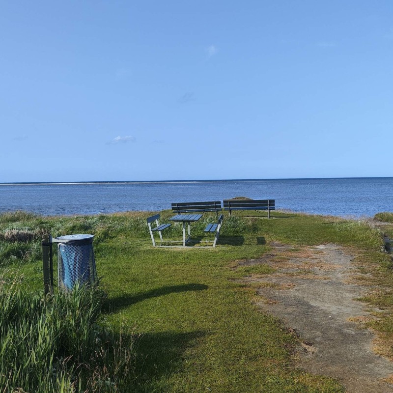 Sommerhus - 8 personer -  - Strandskadevej - St. Sjørup - 8950 - Ørsted