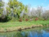 Billede 12