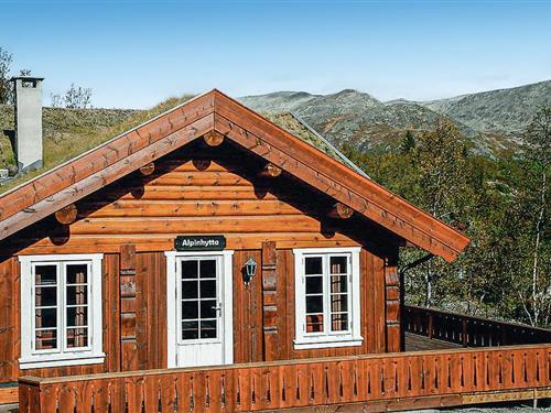 Sommerhus - 17 personer -  - Skarsnuten Alpinhytta - 3560 - Hemsedal
