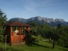 Bild 19