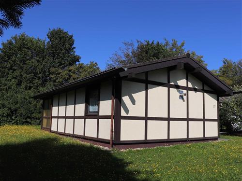 Ferienzentrum - 4 Personen -  - Schwarzkittelpfad - 69429 - Waldbrunn