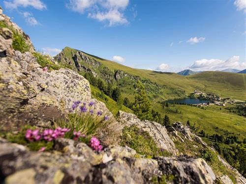 Holiday apartment - 6 persons -  - Falkertsee - 9564 - Patergassen