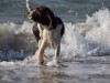 Bild 19