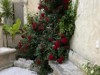 Bilde 29