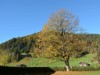 Bild 27 - Ude