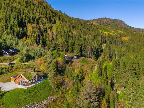 Sommerhus - 10 personer -  - Arnfinngarden - Ål I Hallingdal - 3570 - Ål