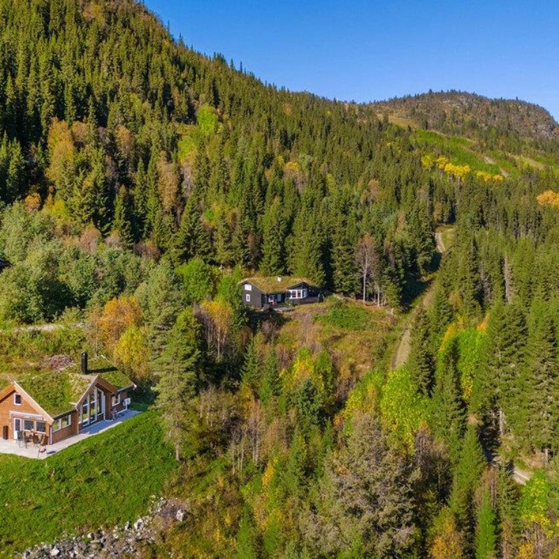 Sommerhus - 10 personer -  - Arnfinngarden - Ål I Hallingdal - 3570 - Ål