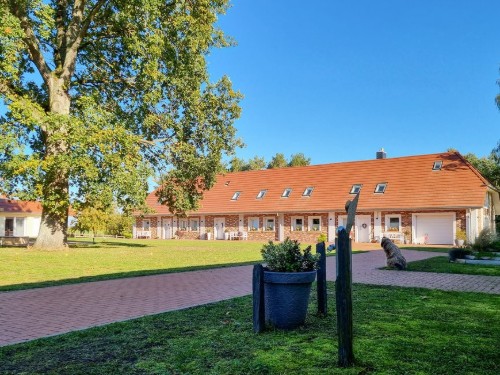 Ferielejlighed - 2 personer -  - Reiterhof - Passow Ot Charlottenhof - 19386 - Passow Ot Charlottenho