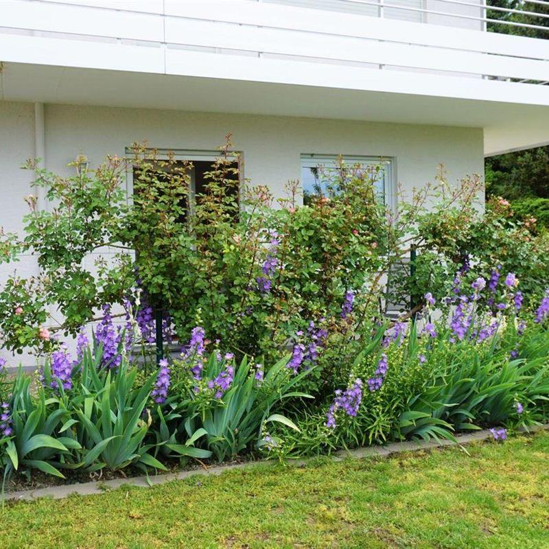 Ferielejlighed - 4 personer -  - Silvanerweg - 88709 - Meersburg