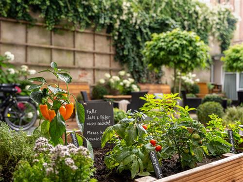 Ferienwohnung - 2 Personen -  - Bleistr. - 18439 - Stralsund