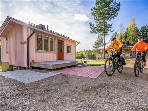 Holiday Home/Apartment - 3 persons -  - Sysmä - 19700